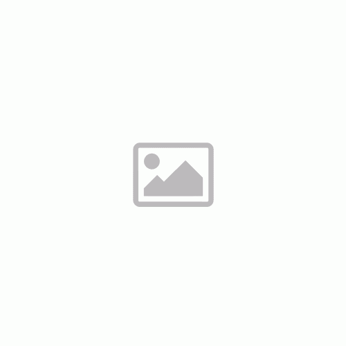 Apple iPad (10th generation)